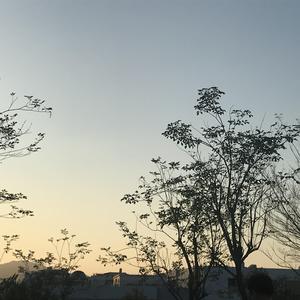 白鹿丝袜脚玩我下面好爽
