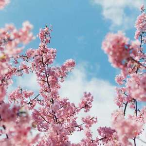 白鹿丝袜脚玩我下面好爽
